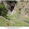 erynnis marloyi talysh biotope